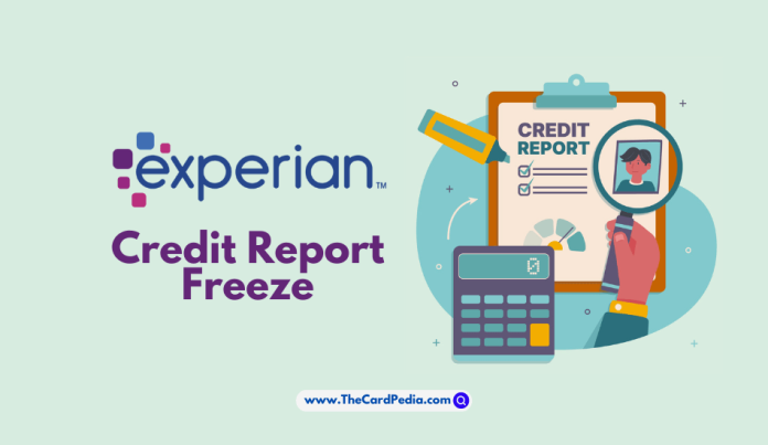 How to Manage Your Experian Credit Freeze A Step-by-Step Guide